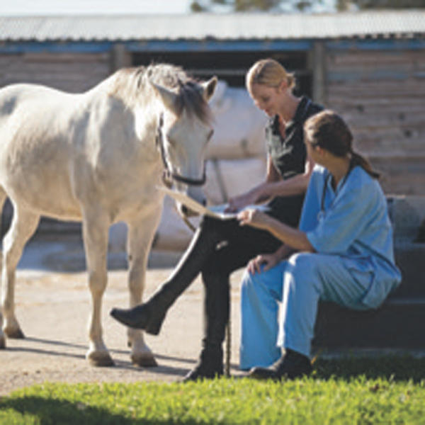 Vitamin E testing, understanding results, and determining