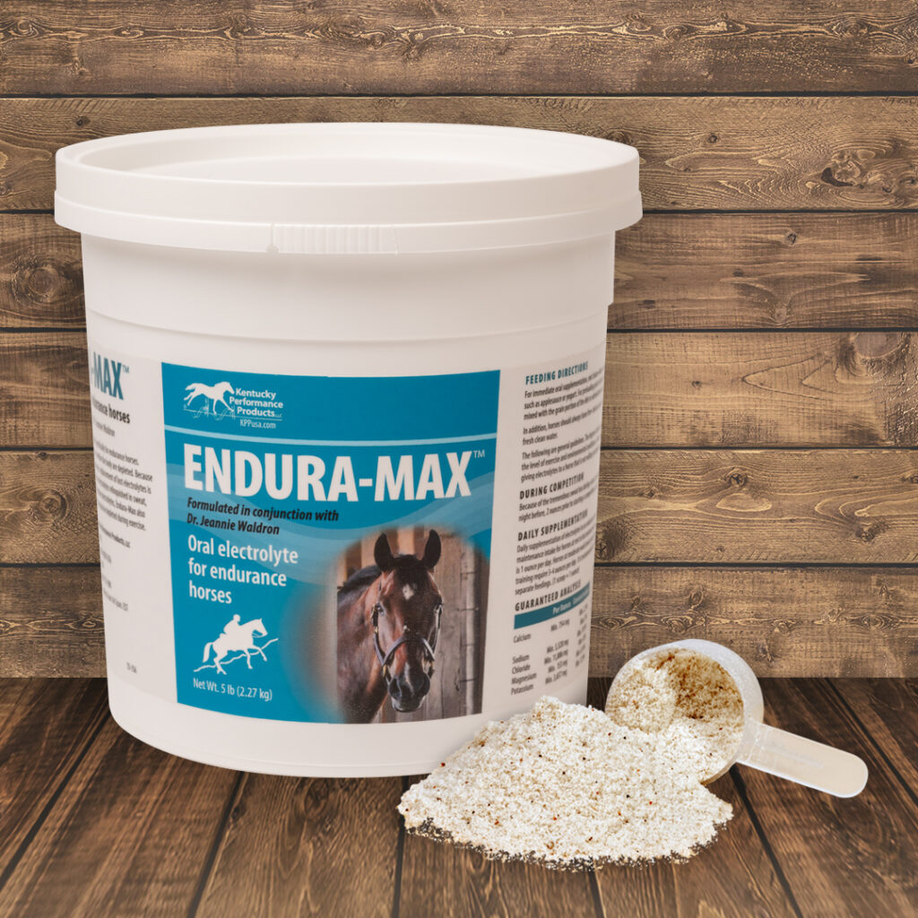 Endurance horses have unique electrolyte needs KPP