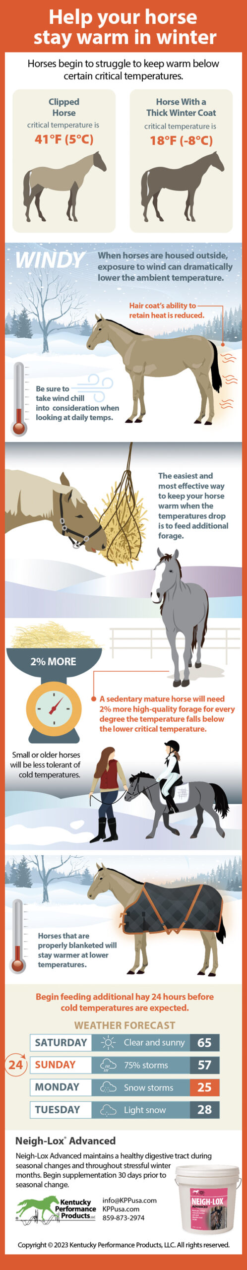 How to help your horse stay warm in winter - KPP