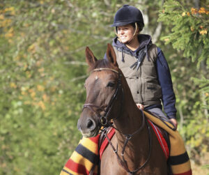 Winter horse blanket