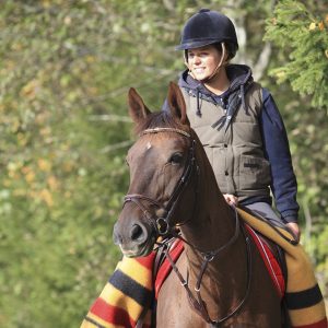 Winter horse blanket