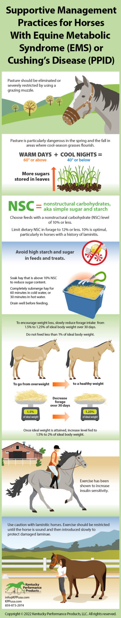 Supportive Management Practices for Horses With Equine Metabolic ...