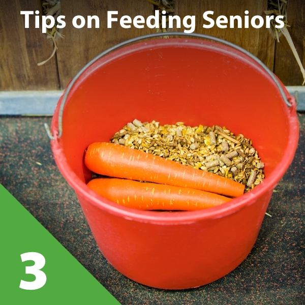 Part 3 Senior Horse Feed KPP