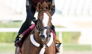 2025 Throughbred Makeover