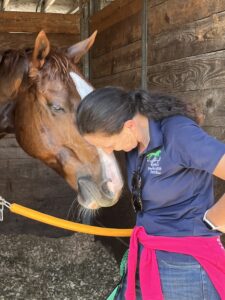 Sibelius Finishes in Top 10