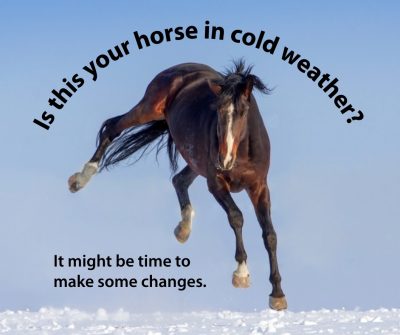 Frisky in cold weather FB