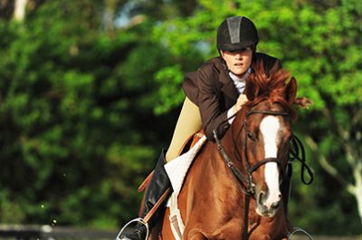 Woman Equestrian Riding Jumping on Show Horse